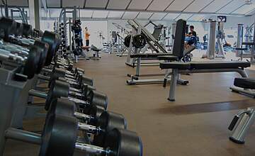 WHY IS FREE WEIGHT TRAINING BENEFICIAL?