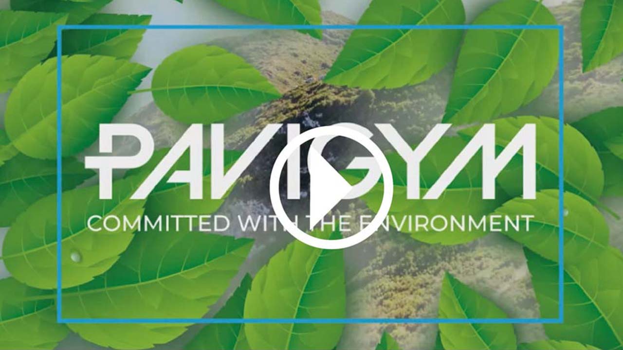 video sustainability and efficient production process