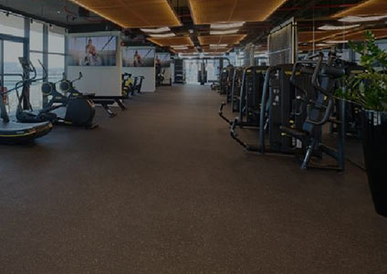 oq-extreme-gym-flooring-mini