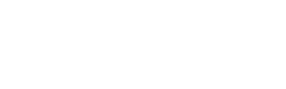 logo-pavibasic-gym-mats