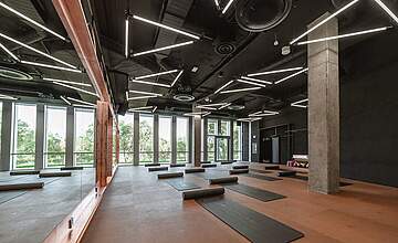 Stil und Funktionalität vereinen: Gummiboden in Holzoptik für moderne Fitnessstudios